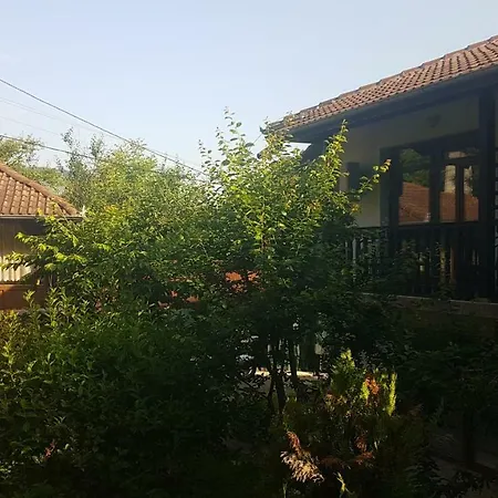 керенски *